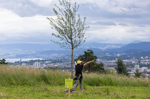 06_QUB_49A7494_1800_Foto_ik_Spoerri