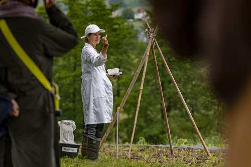 12_QUB_49A1295_1800_Foto_Nik_Spoerri